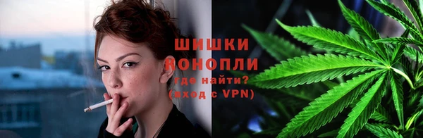 шишки Баксан
