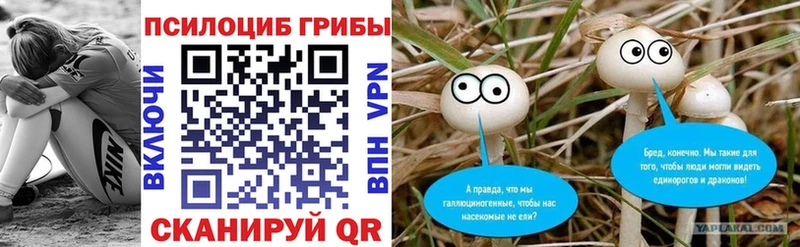 Галлюциногенные грибы Psilocybe  Петровск 